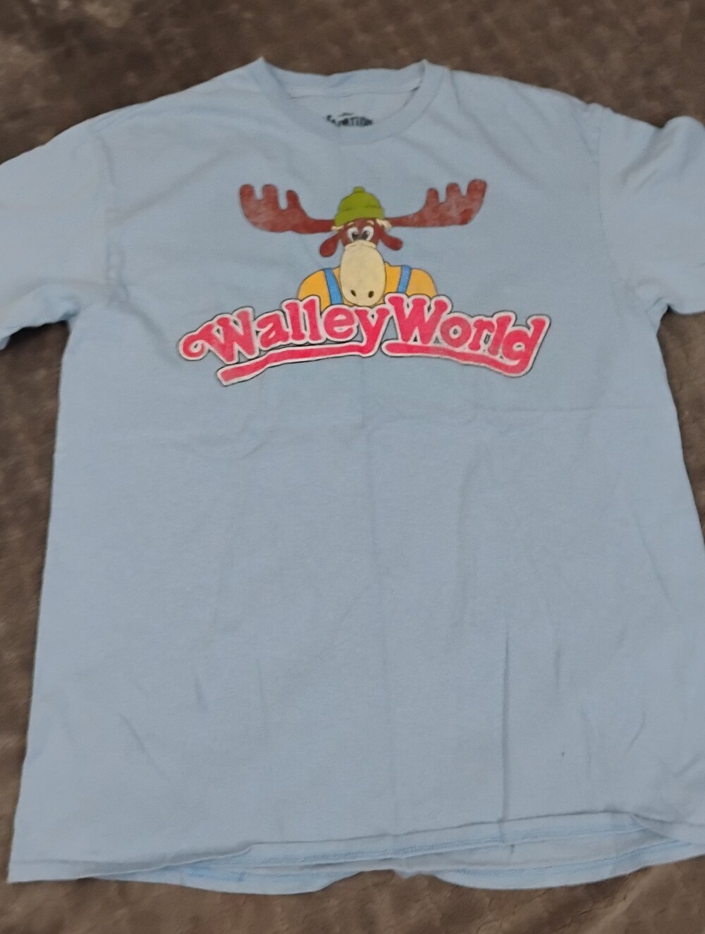 Walleye World Womens' Light Blue Graphic T-Shirt